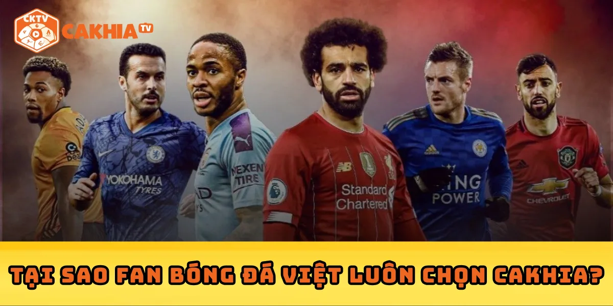 Tại Sao Fan Bóng Đá Việt Luôn Chọn Cakhia?